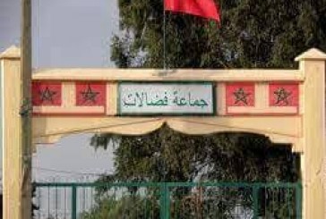  لفضالات،بنسليمان…حلم العشرات برئاسة الجماعة،هل هو طموح أم حمق؟!