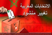 حلم المبتدئين في عالم الإنتخابات
