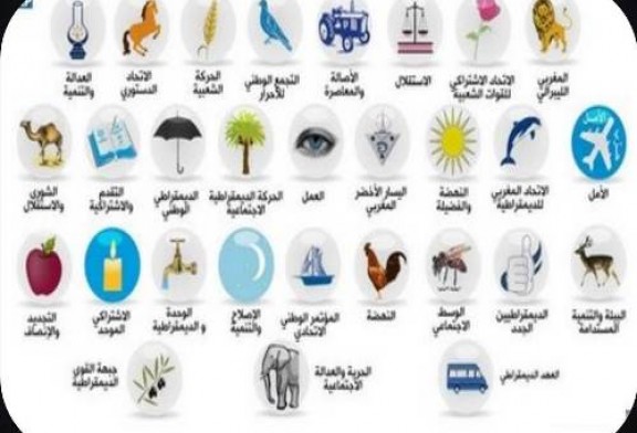 بنسليمان… اللوائح الحاصلة على تزكية رسمية لإنتخابات البلدية فاق عددها العشرة، والبقية في الطريق